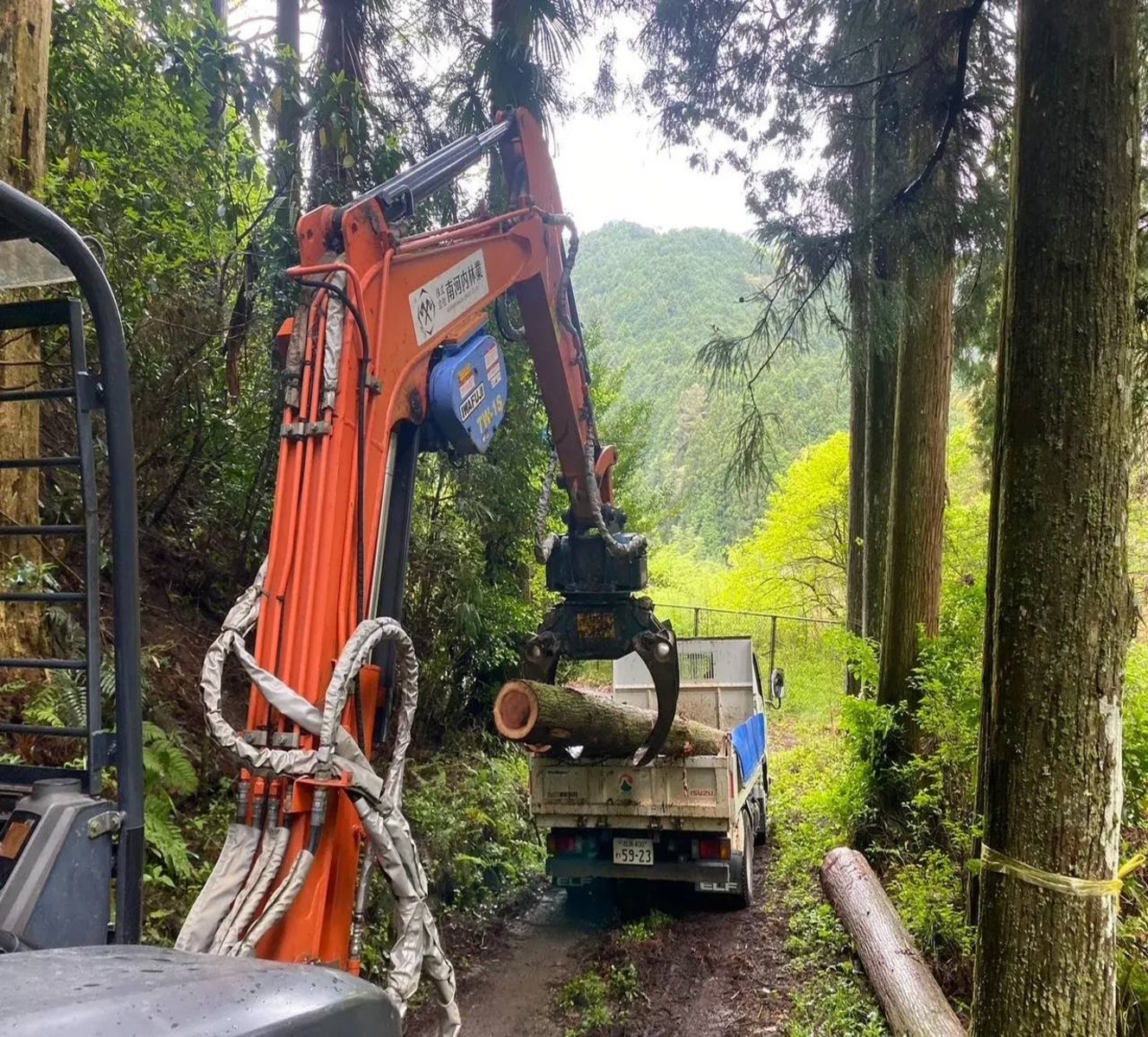 大阪南河内の大橋山林業： 革新、持続可能性、遺産