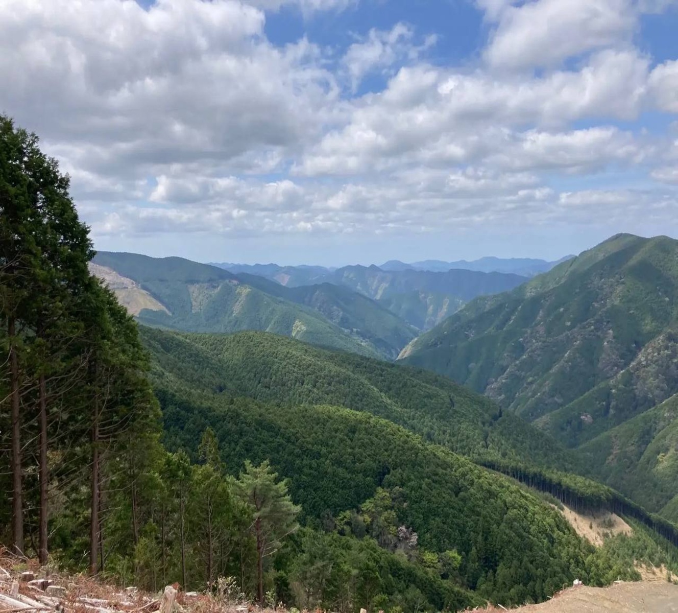 和歌山紀州材： 威風堂々の遺産